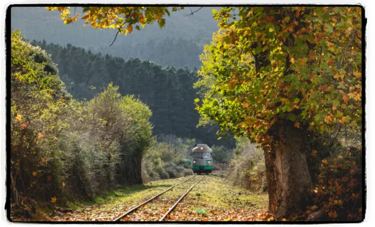 18 OTTOBRE 2026: Trenino verde e autunno in Barbagia Tappa a Belvì a Belvì 18 OTTOBRE 2026: Trenino verde e autunno in Barbagia Tappa a Belvì a Belvì
