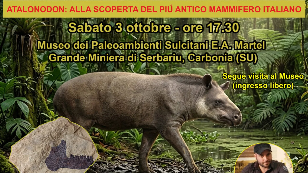 A Carbonia la conferenza sul più antico mammifero fossile d'Italia A Carbonia la conferenza sul più antico mammifero fossile d'Italia