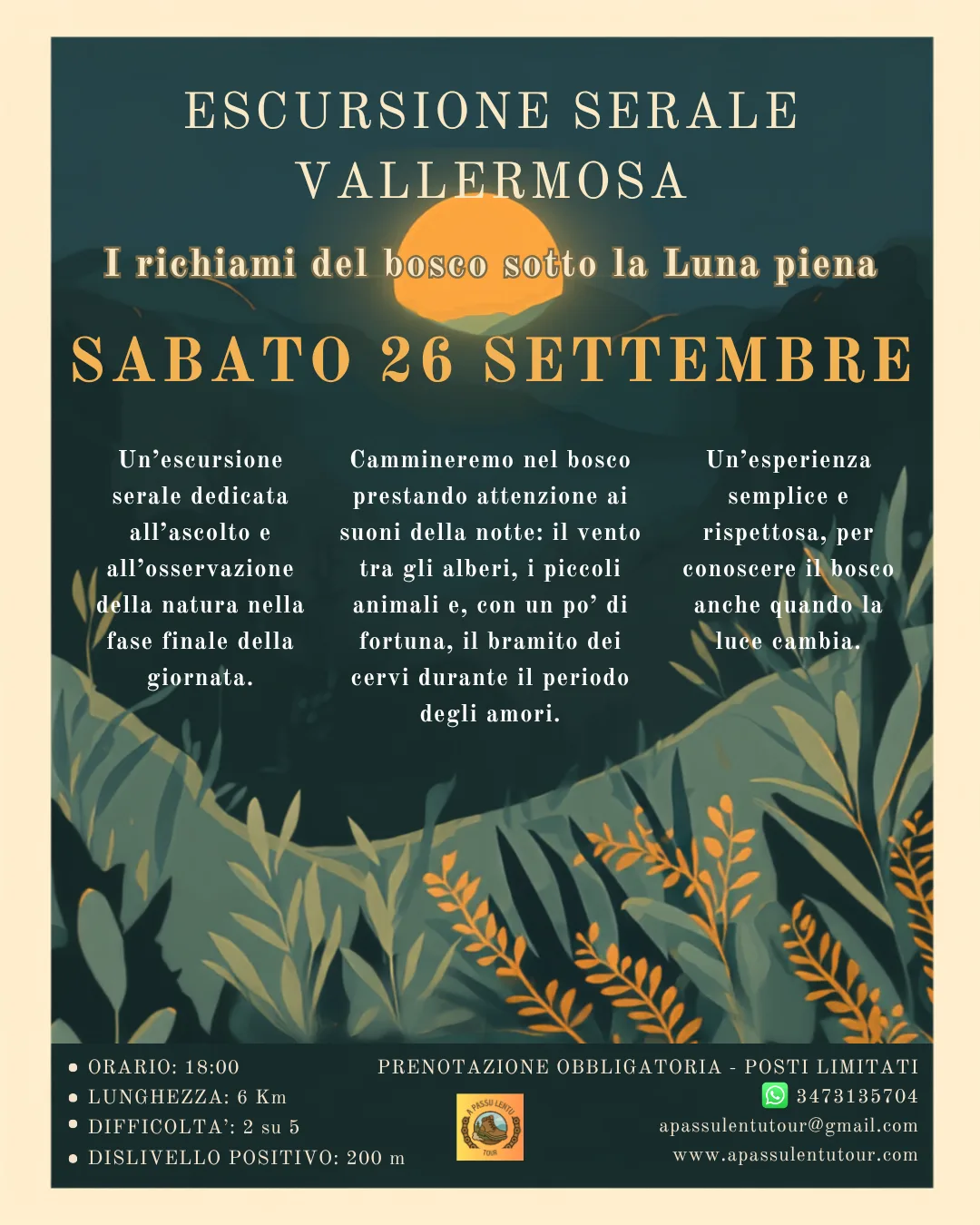 ESCURSIONE SERALE A VALLERMOSA "I richiami del bosco sotto la Luna piena" a Vallermosa ESCURSIONE SERALE A VALLERMOSA "I richiami del bosco sotto la Luna piena" a Vallermosa